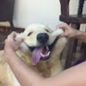 Meet your Posher, Natalia